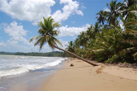 Zdjęcia Dominikana Dominikana Plaża Daleko Od Kurortów Dominikana