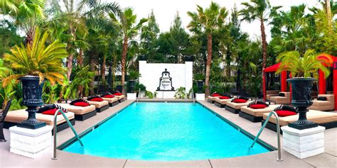 Best Topless Pools In Las Vegas Discotech The 1 Nightlife App