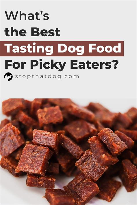 Need The Best Dog Food For A Picky Eater If So This Guide Shows The
