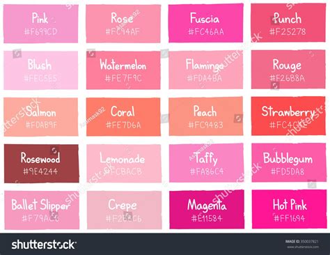 Pink Tone Color Shade Background With Code And Name Illustration Pink