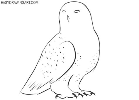 How To Draw A Snowy Owl Easy Drawing Art