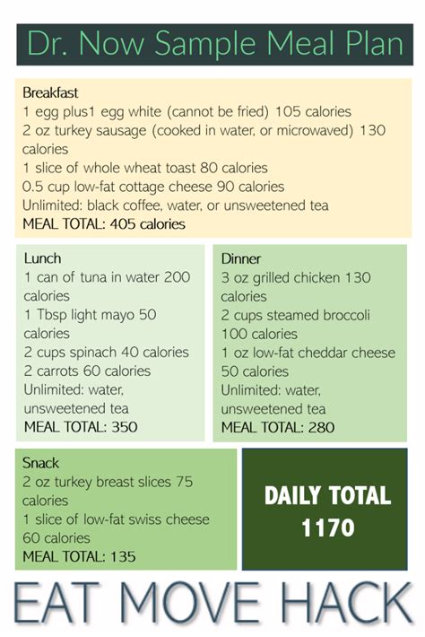 Diet Sample Dr Now Meal Plan 1200 Calorie Diet Plan Dr Nowzaradan