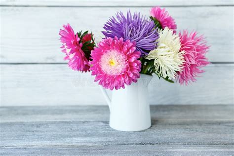 Colorful Asters Bouquet In Vase Stock Photo Image Of Isolated Petals
