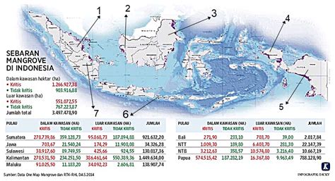 Peta Persebaran Hutan Di Sulawesi Sexiz Pix
