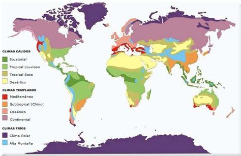 Climas Del Mundo Tipos Y Mapa Distribuci N De Zonas Clim Ticas 2170