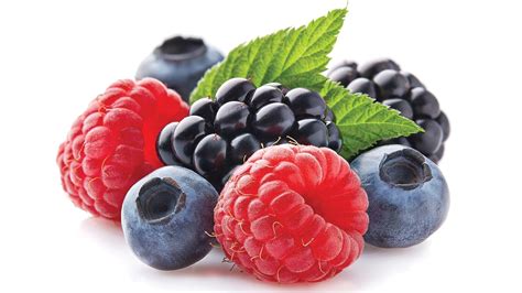 Nutrition Picks Northwest Berries Prolific Protectors Pcc