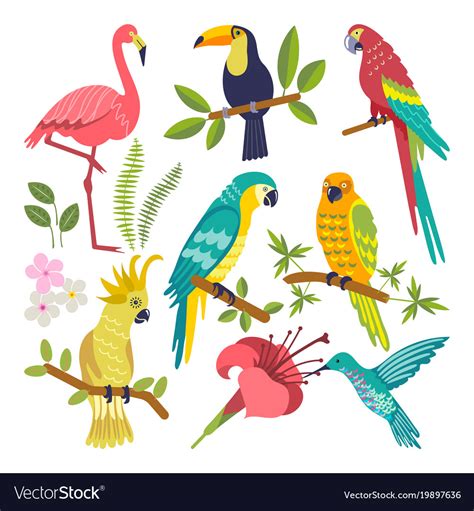 Set Of Tropical Birds Royalty Free Vector Image