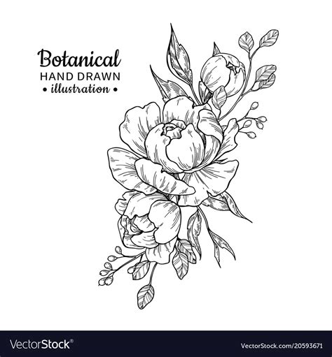 Flower painting with a bouquet of daisies is an original still life painting on canvas. Vintage flower bouquet drawing peony Royalty Free Vector