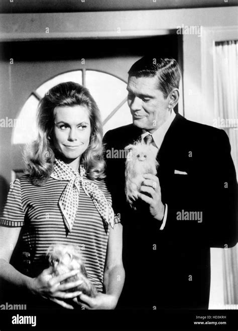 Bewitched From Left Elizabeth Montgomery Dick York Stock