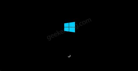Windows 10 Boot Animation Checkssany