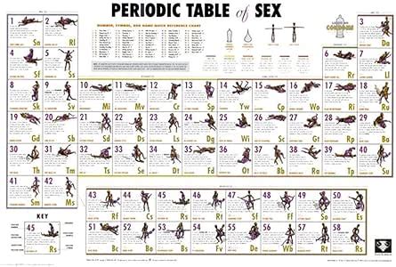 Amazon Periodic Table Of Sex Poster X In Sex Position Dvd