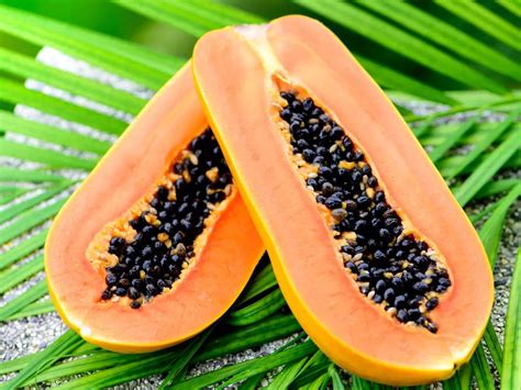 Benefits Of Papaya A Natural Fat Burning Food Hovied
