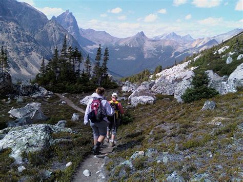 Verdant Pass | Best hikes, Adventure camping, Hiking trails