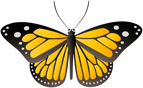 Yellow Clipart Butterfly 10 Free Cliparts Download Images On