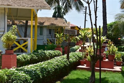 Palolem Beach Resort Goa Resort Price Address And Reviews