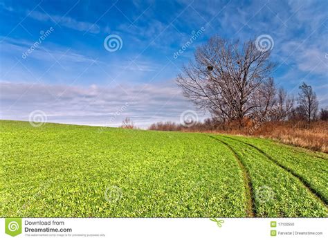 Field Road Stock Photo Image Of Outdoors Field Country 17100550