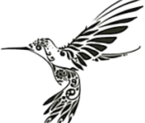 Flying Silhouette Hummingbird Transparent Background Png Mart