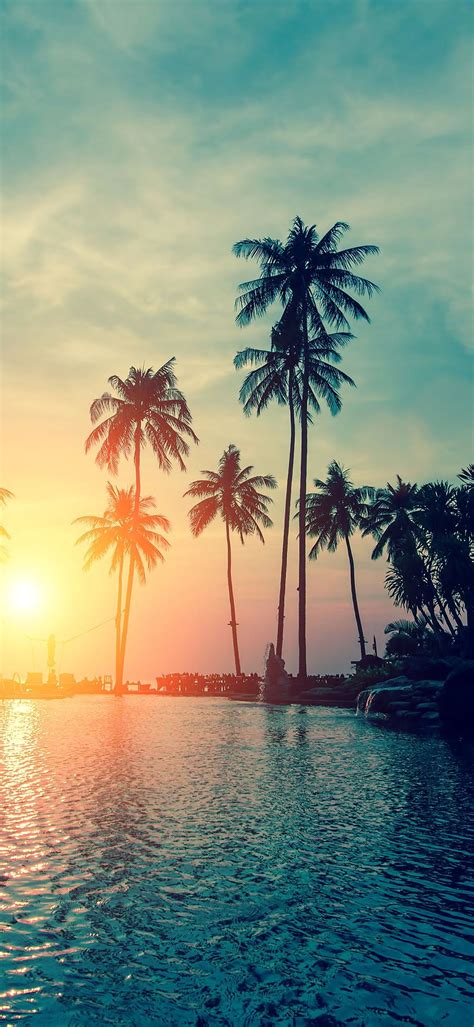 Iphone X Wallpaper Sunset Palm Trees Tropical Beach Hd Hd