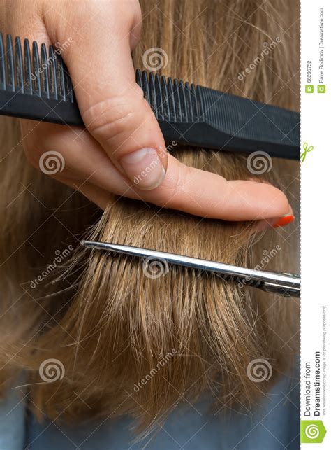 Hand Trimming Hair With Scissors And Comb Stock Photo