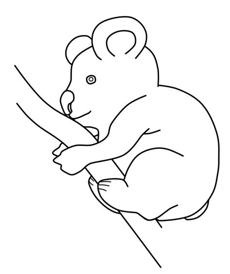 37+ koala coloring pages for printing and coloring. Koala Coloring Page - Animal Place