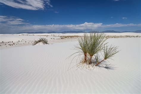 11 Top Things To Do In White Sands National Park For First Time
