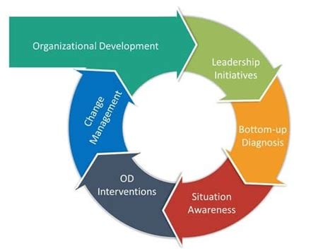 Navigating Change The 5 Phases Of The Organizational Development Process