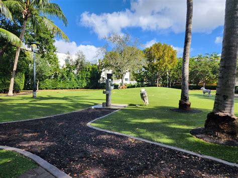 Blanche Park Dog Park - Dalmatian Friends
