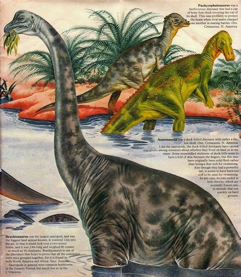 Love In The Time Of Chasmosaurs Vintage Dinosaur Art Dinosaurs