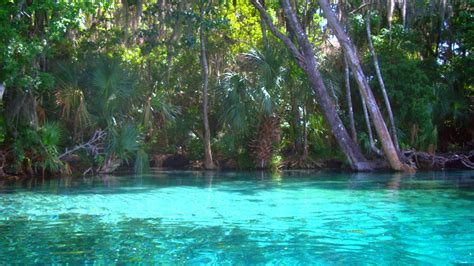 Rainbow River Kayaking State Parks Florida Travel River Kayaking