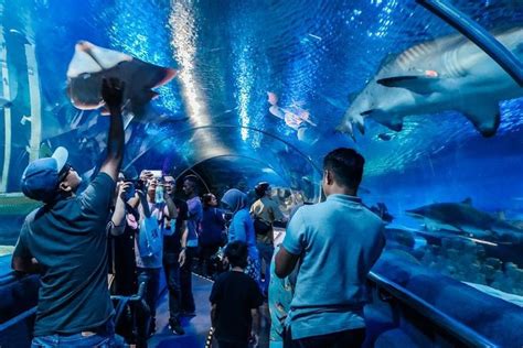 Tripadvisor Aquaria Klcc Eintrittskarte Kuala Lumpur Malaysia