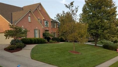 We would like to show you a description here but the site won't allow us. Lawn Mowing | Mulch | Fertilizer | Cleanups | Pruning
