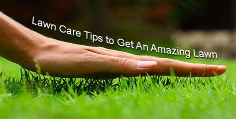 Lawn Care Tips To Get An Amazing Lawn Landscape Edging Blog