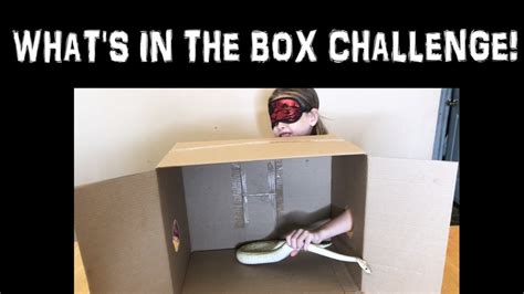 Whats In The Box Challenge 😁 Youtube