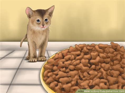 (an argument could be made that this is a good reason to have two companion cats.) 3 Ways to Keep Cats Out of Your Yard - wikiHow