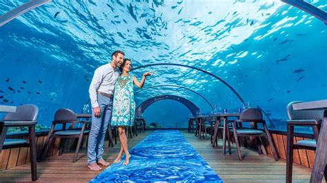 5 Underwater Restaurants In Maldives You Cant Miss