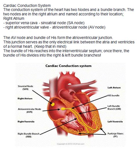 A strong performance on the emt test will not only give you a test score, but it will prove that you have the knowledge to safely and effectively perform duties as an emergency healthcare provider. Pin on Educational Medical Diagrams