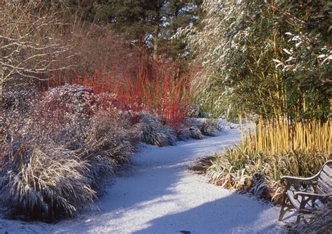 How To Have A Stunning Garden In The Middle Of Winter