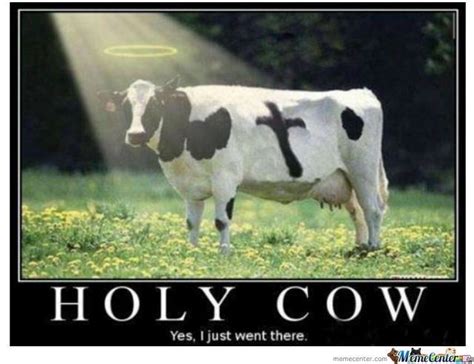 20 Fantastically Funny Cow Memes To Put You In A Happy Moo D I Can