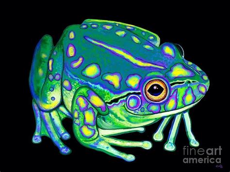 Colorful Froggy 2 by Nick Gustafson | Frog painting, Froggy, Wall art painting