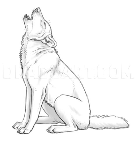 How To Draw Howling Wolves Howling Wolf Step By Step Drawing Guide By Makangeni Dragoart