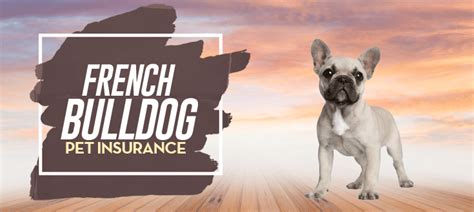 The thing is there are substantial differences in all these petplan has affordable prices, accepted by licenced veterinarians and lot of benefits included. French Bulldog Dog Insurance - Reviews and Comparisons