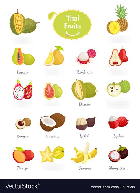 Thai Fruits Diagram Quizlet