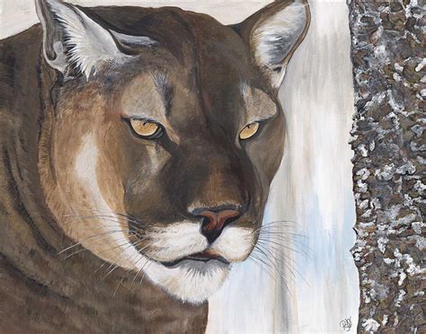 Cougar Painting By Patty Vicknair Fine Art America