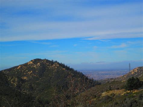 San Bernardino Mountains Sweetbearies Art Photography