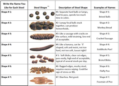 Bristol Stool Chart For Kids Kids Matttroy