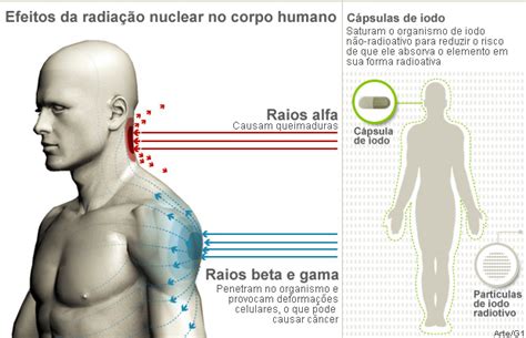 Biogil Efeitos Da RadiaÇÃo Nuclear No Ser Humano