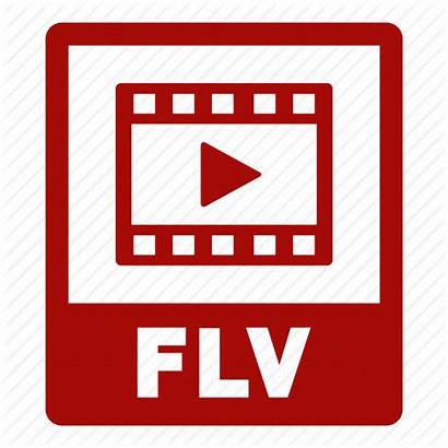 Flv Icon Extension Document Open