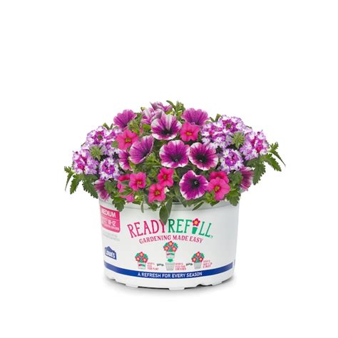 Ready Refill Multicolor Confetti Garden Shocking Touch Pot In The