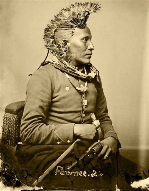 White Horse Scouts Pawnee Native American Images Native American
