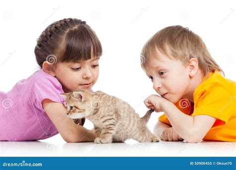 Children Playing With Cat Kitten Stock Image Image Of Brother